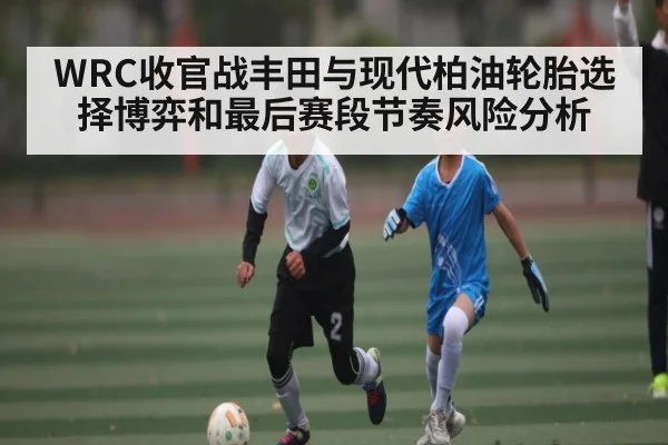 WRC收官战丰田与现代柏油轮胎选择博弈和最后赛段节奏风险分析